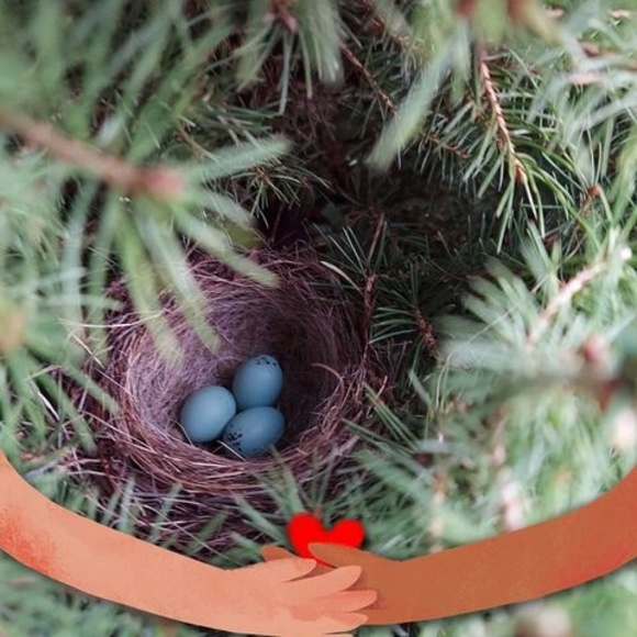 Meet your Posher, Dee - Picture 1 of 1